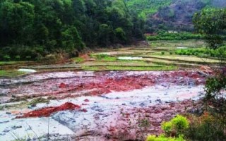廣東一鋁灰廠垮壩 3000立方污水沖入農田(圖)