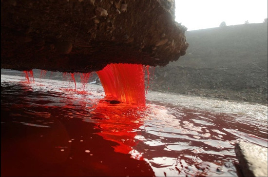 洛陽澗河遭到污染 河水變成血紅色(組圖)