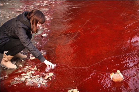 洛陽澗河遭到污染 河水變成血紅色(組圖)