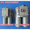 SPL-40C SPL-40 雙筒網(wǎng)片式過(guò)濾器