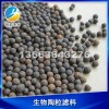 輕質(zhì)陶粒與重質(zhì)陶粒濾料的區(qū)別