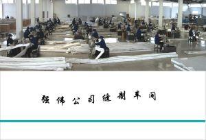 鹽城強偉環(huán)?？萍加邢薰? title=