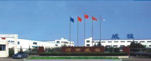 河南威猛振動設備股份有限公司