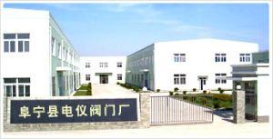 阜寧縣電儀閥門(mén)廠