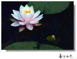 東莞市厚街蓮誠(chéng)家具材料經(jīng)營(yíng)部